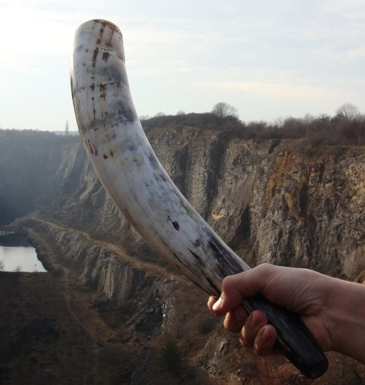 XL Norse Signal Horn
