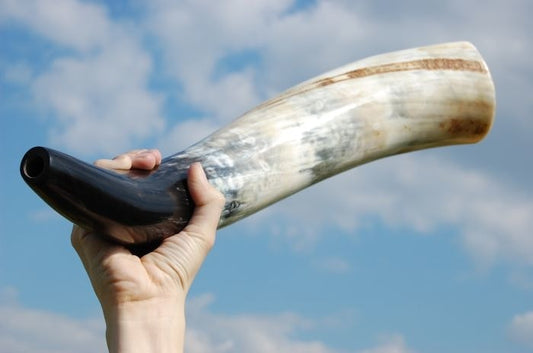 Large Norse Signal Horn